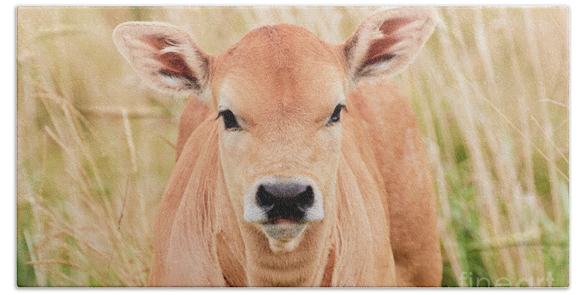 Calf Hand Towel featuring the photograph Calf in the high grass by Nick Biemans