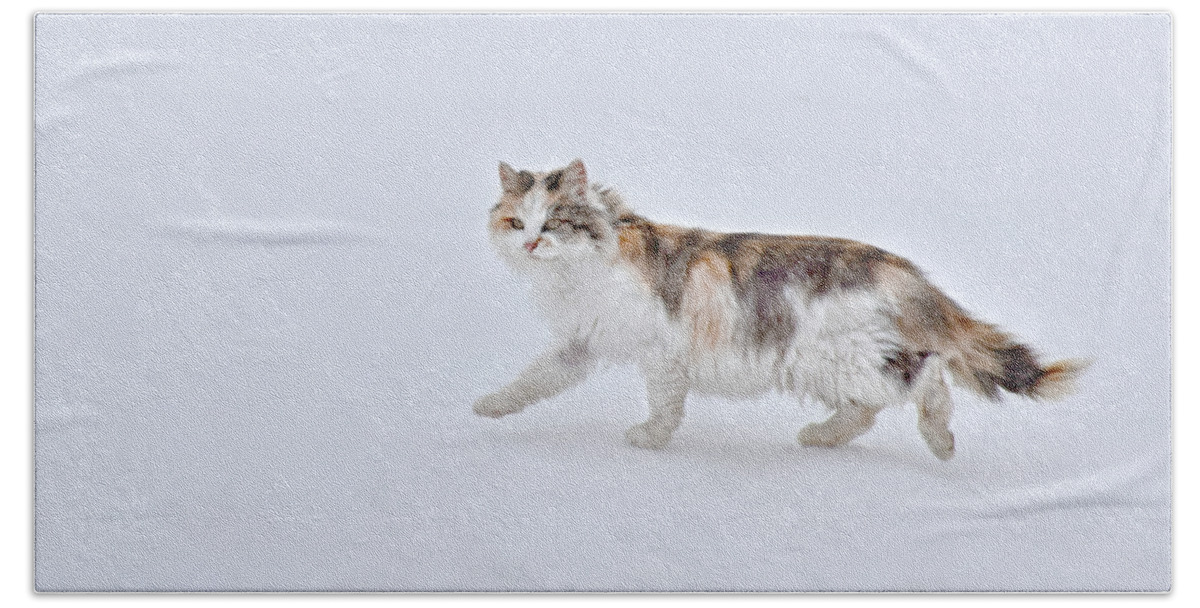 Calico Huntress Bath Towel featuring the photograph Calico Huntress by Kathy M Krause