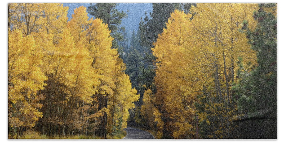 Autumn Hand Towel featuring the photograph California Gold by Brian Tada