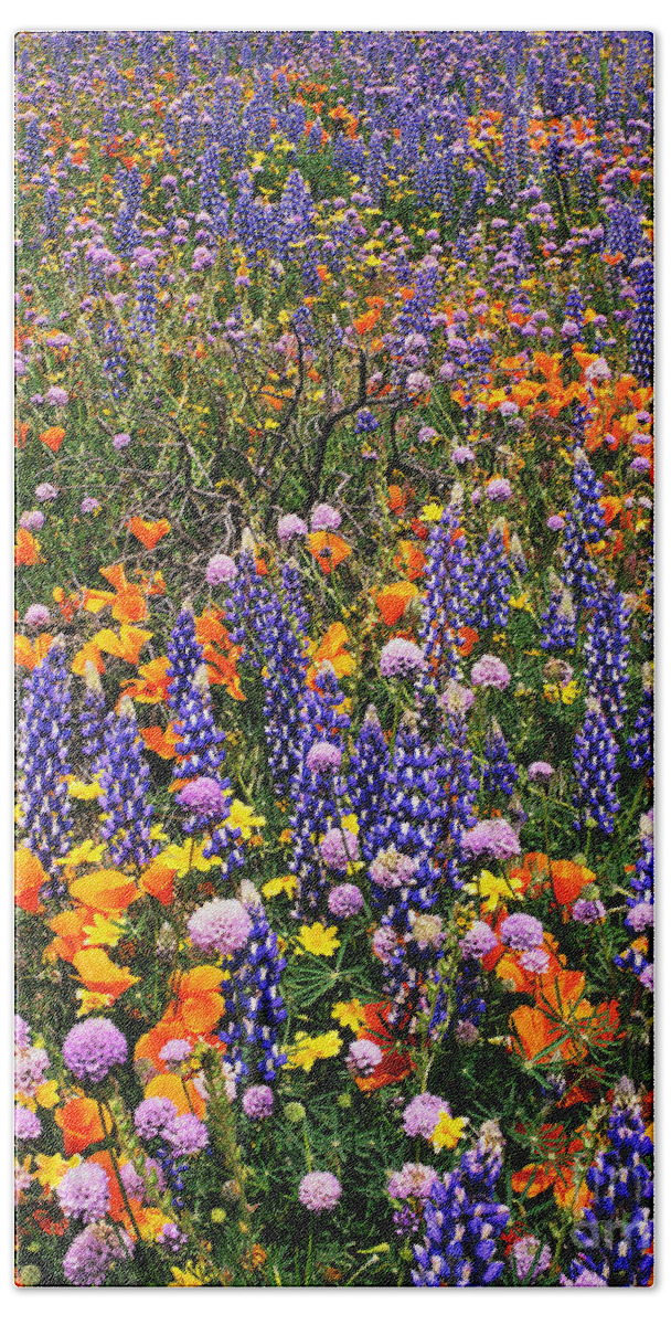 Dave Welling Bath Towel featuring the photograph California Poppies And Bentham Lupines In California by Dave Welling