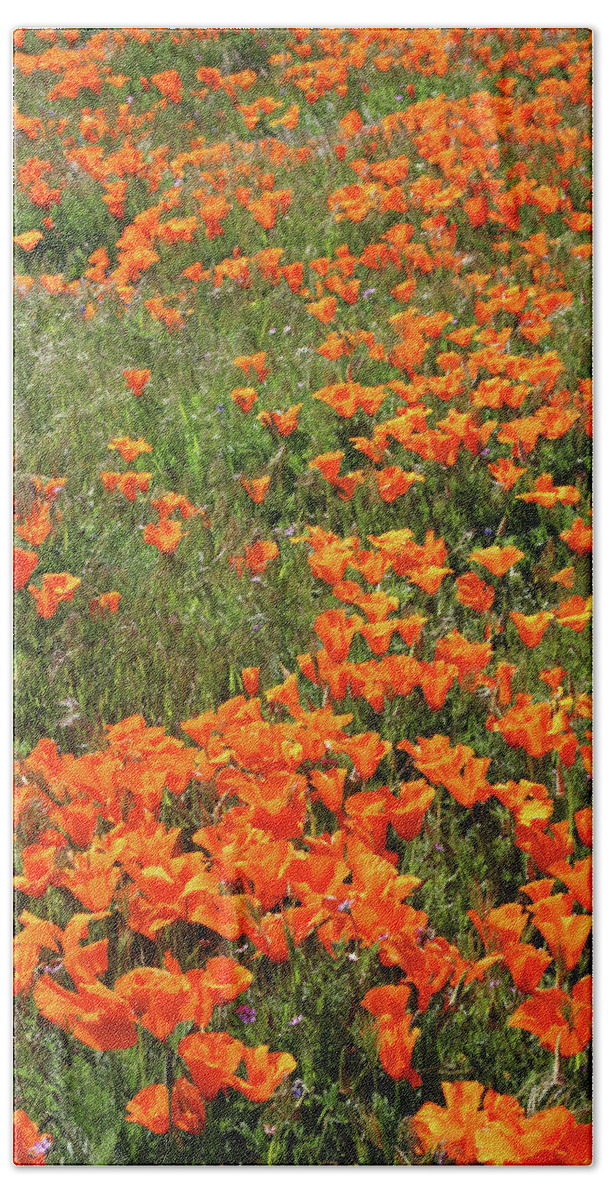 Poppies Bath Towel featuring the mixed media California Poppies- Art by Linda Woods by Linda Woods