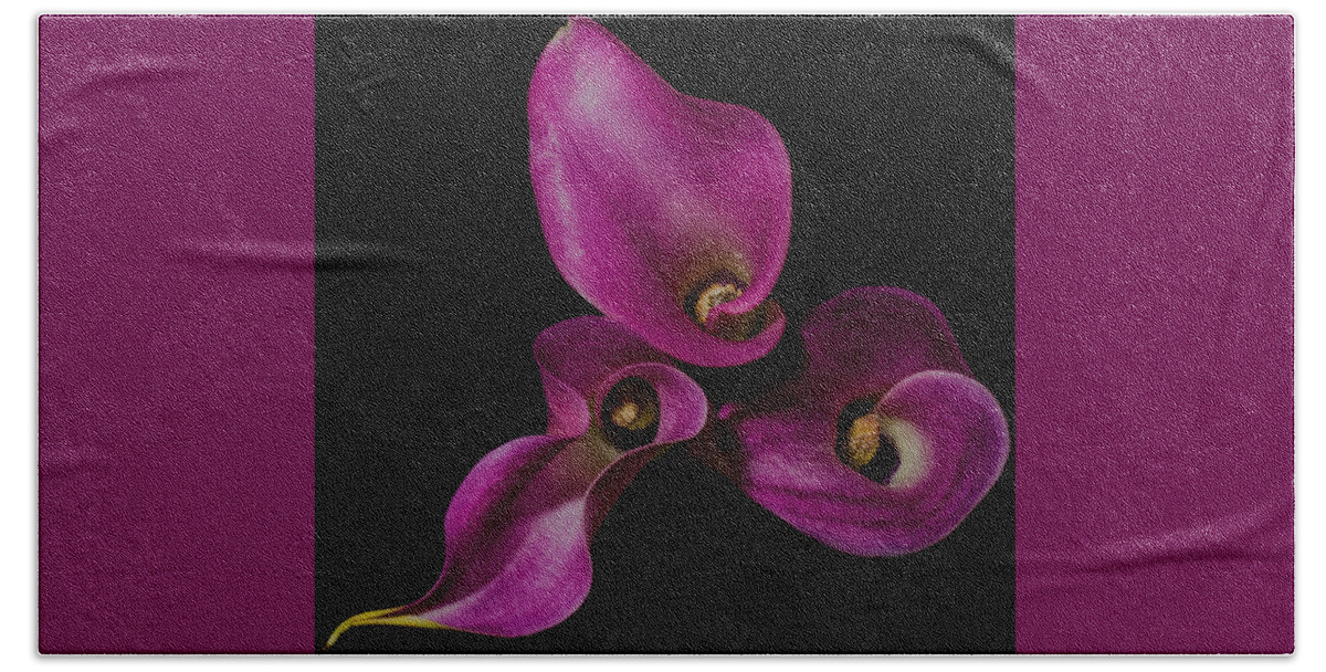 Lily Bath Towel featuring the photograph Calla Lilies #1 by John Roach