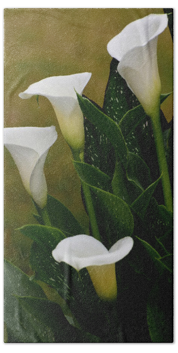 Flowers Bath Towel featuring the photograph Calla Lily by Jimmy Chuck Smith