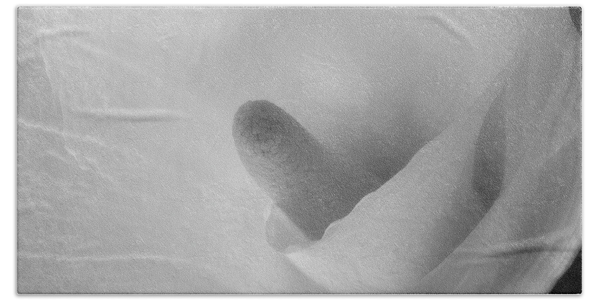 Flower Bath Towel featuring the photograph Calla Lily by John Roach