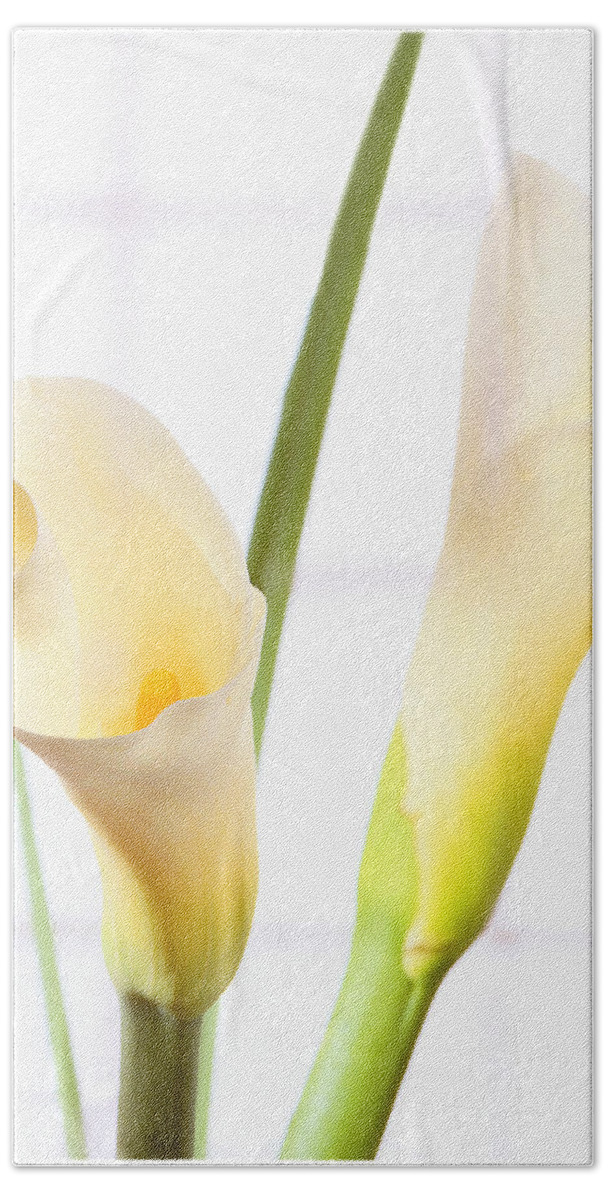 Calla Lily Bath Towel featuring the photograph Calla Lily by Mike McGlothlen
