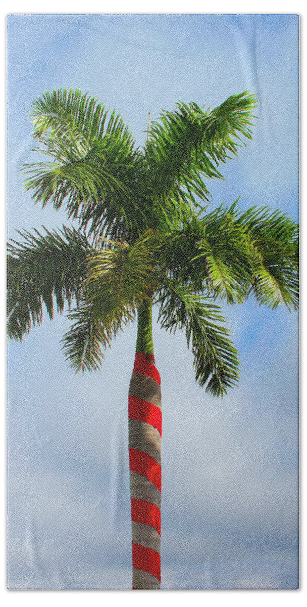 Christmas Hand Towel featuring the photograph Candy Cane Palm by Robert Wilder Jr
