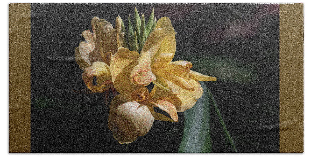 Photograph Hand Towel featuring the photograph Cannas Amarillo II by Suzanne Gaff