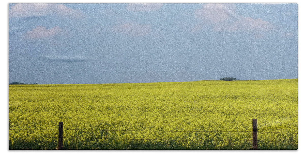 Terry D Photography Hand Towel featuring the photograph Canola Field Alberta Canada by Terry DeLuco