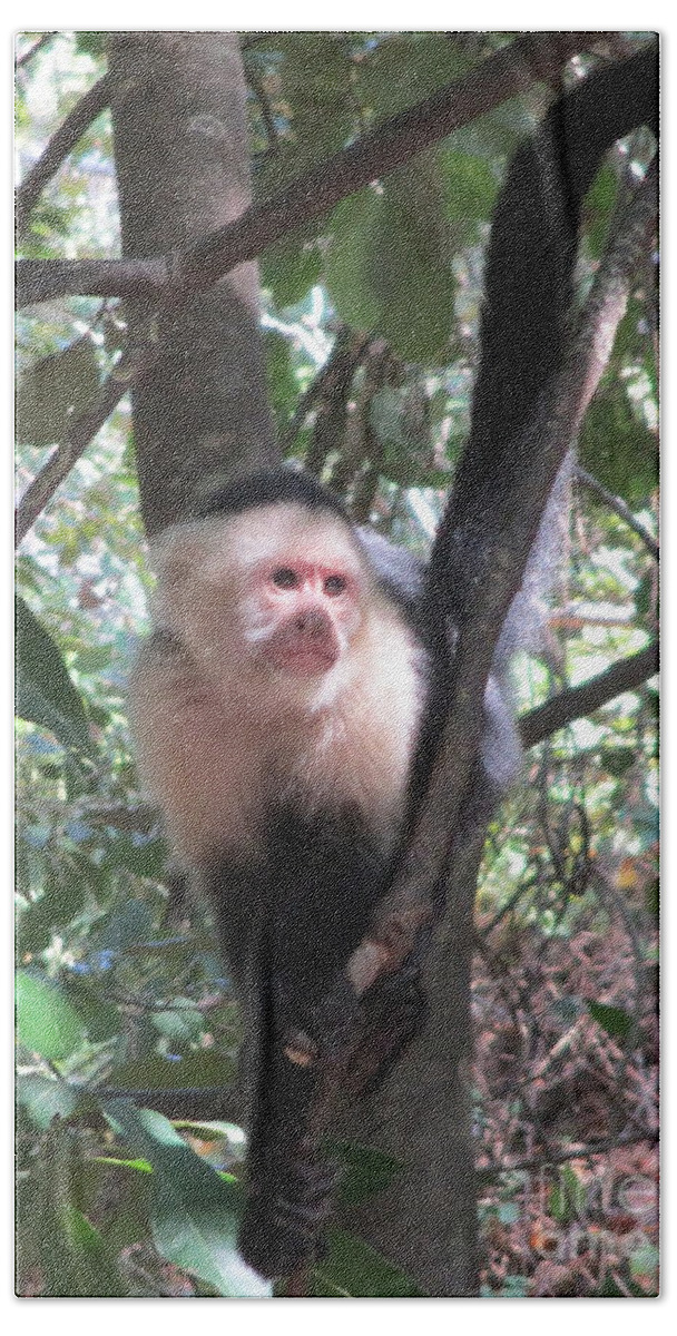 Capuchin Monkey Hand Towel featuring the photograph Capuchin Monkey 4 by Randall Weidner