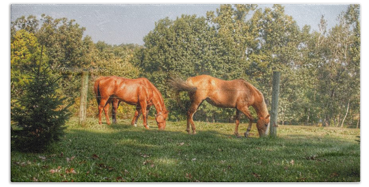 Horses Bath Towel featuring the photograph 1006 - Caramel Horses I by Sheryl L Sutter