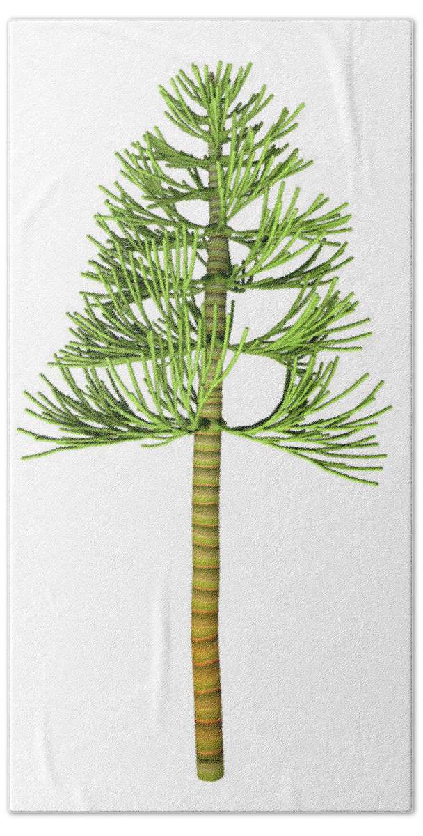 3d Illustration Bath Towel featuring the digital art Carboniferous Pine Tree by Corey Ford