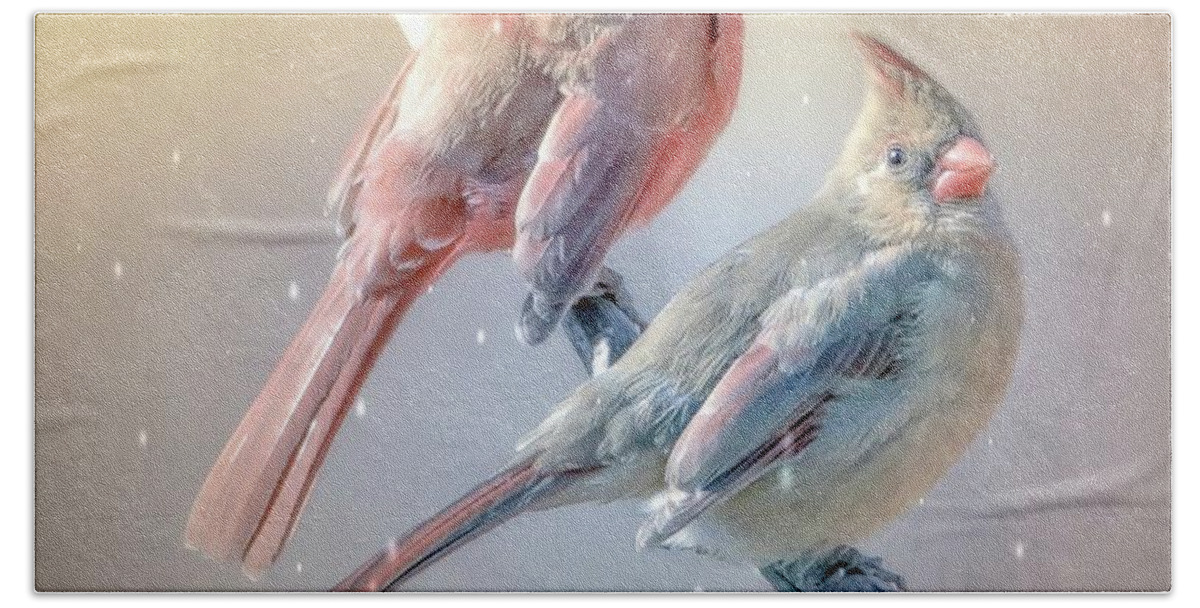  Northern Cardinal Birds Bath Towel featuring the photograph Cardinal Birds Romance For Ever by Peggy Franz