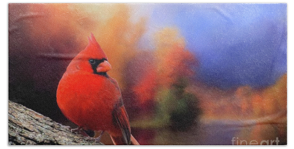 Male Bath Towel featuring the photograph Cardinal in Autumn by Janette Boyd