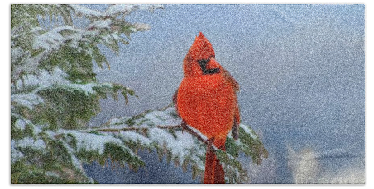 Cardinal Bath Towel featuring the photograph Cardinal in Winter II by Janette Boyd