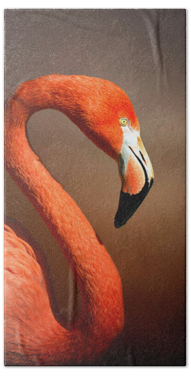 Flamingo Hand Towel featuring the photograph Caribean flamingo portrait by Johan Swanepoel