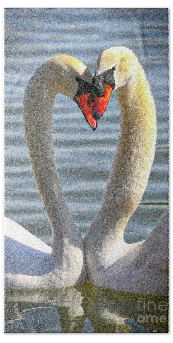 Swans Hand Towel featuring the photograph Caring Swans by Carol Groenen