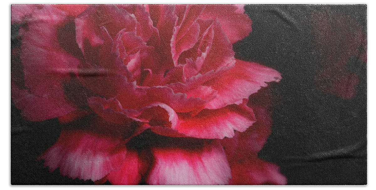 Carnation Bath Towel featuring the photograph Carnation Series 5 by Mike Eingle