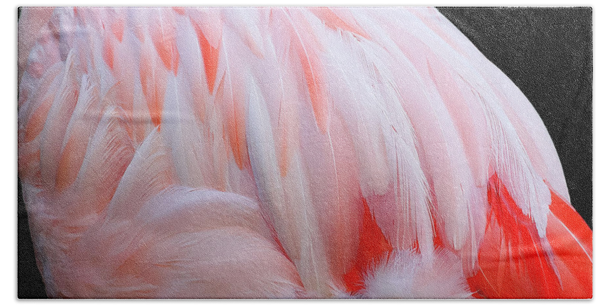 Feathers Bath Towel featuring the photograph Cascading feathers by Elvira Butler