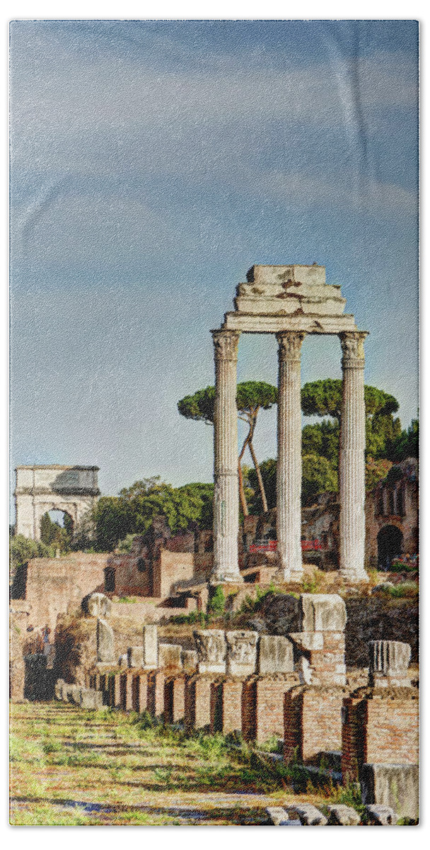 Forum Bath Towel featuring the photograph Castor Pollux and Titus by Weston Westmoreland