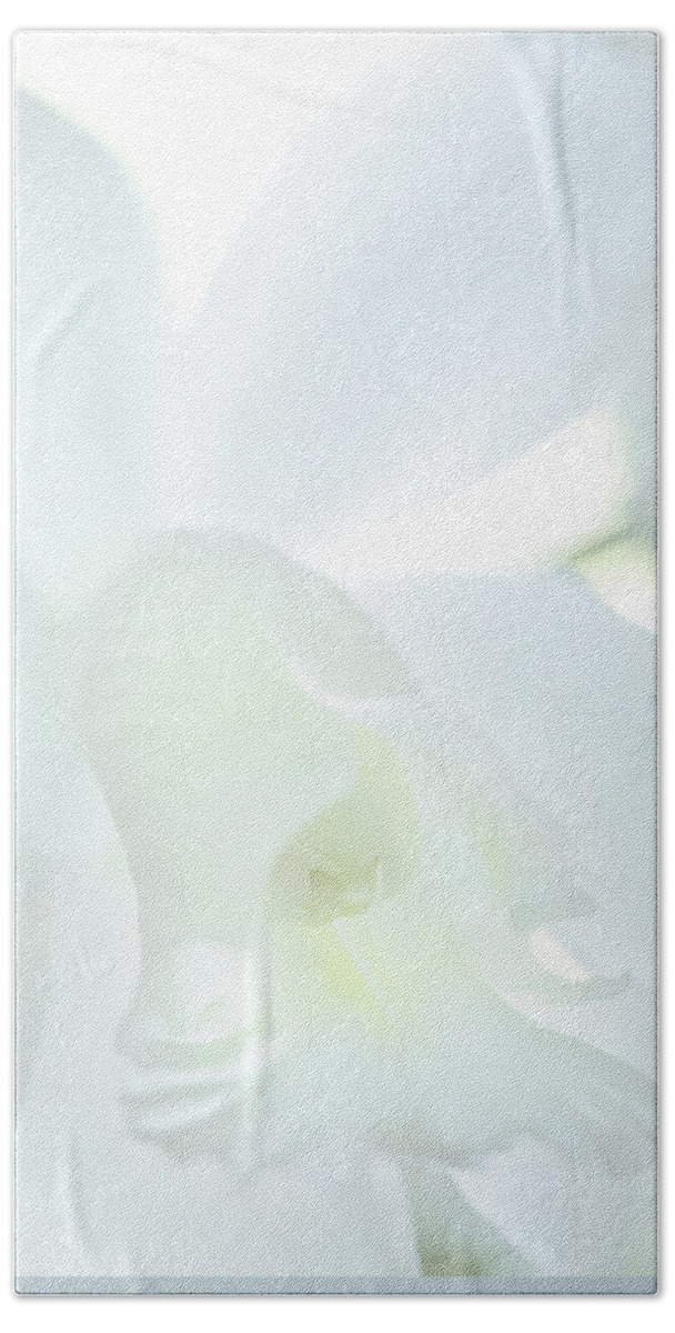 Blossom Bath Towel featuring the photograph Cattleya Orchid #1 by George Robinson