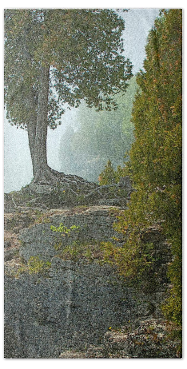 Beauty In Nature Bath Towel featuring the photograph Cave Point Cliffs by Rod Melotte
