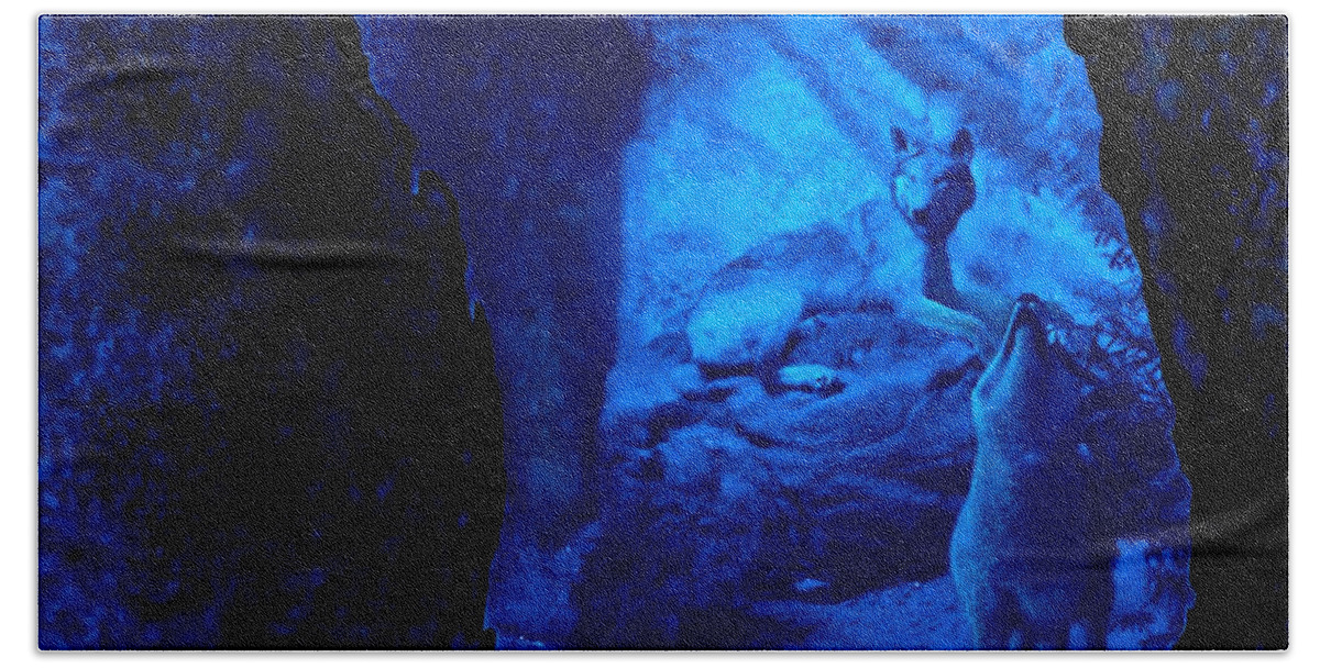 Coyotes Bath Towel featuring the digital art Cavern by Danielle R T Haney