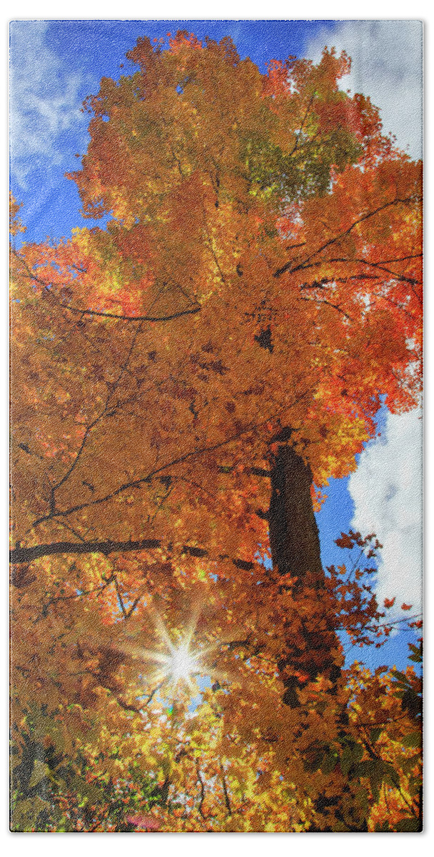 Gary Hall Bath Towel featuring the photograph Celebrating Autumn by Gary Hall