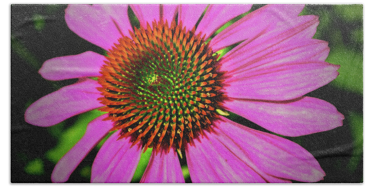 Flower Bath Towel featuring the photograph Centerpiece - Purple Coneflower 026 by George Bostian