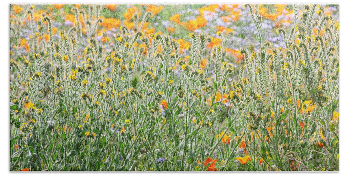California Wildflowers Bath Towel featuring the photograph Central California Wildflowers by Ram Vasudev