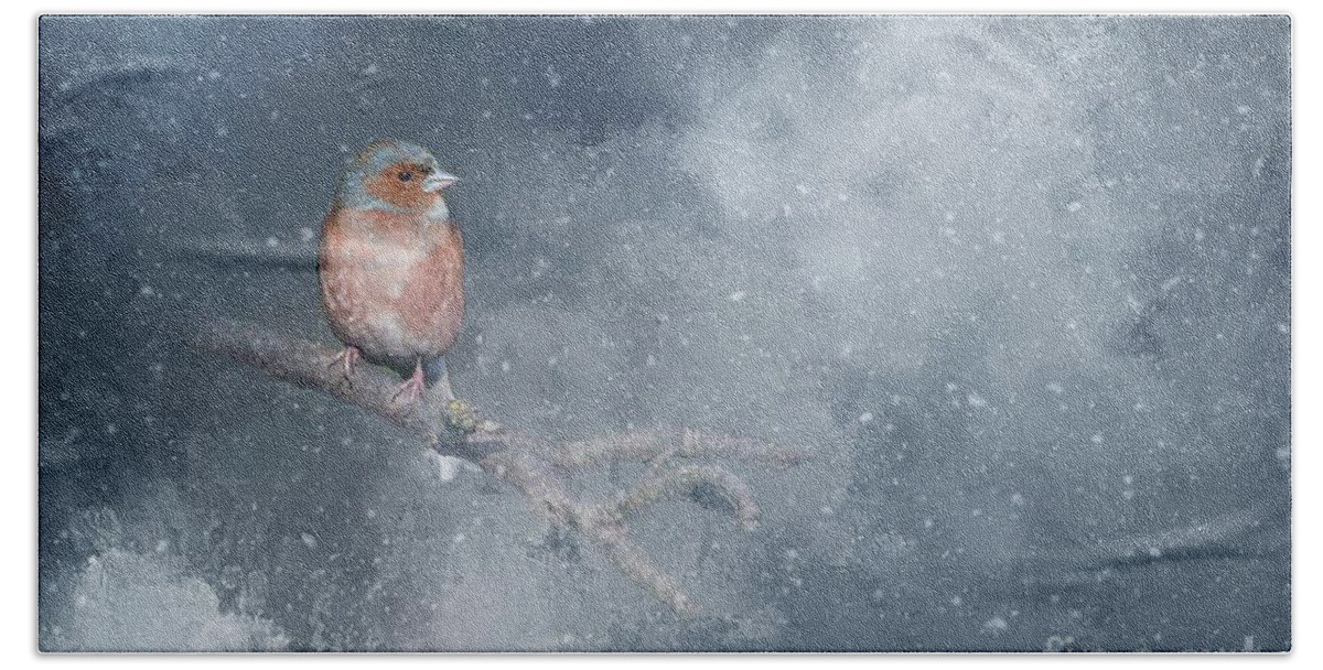 Chaffinch Hand Towel featuring the photograph Chaffinch on a Cold Winter Day by Eva Lechner