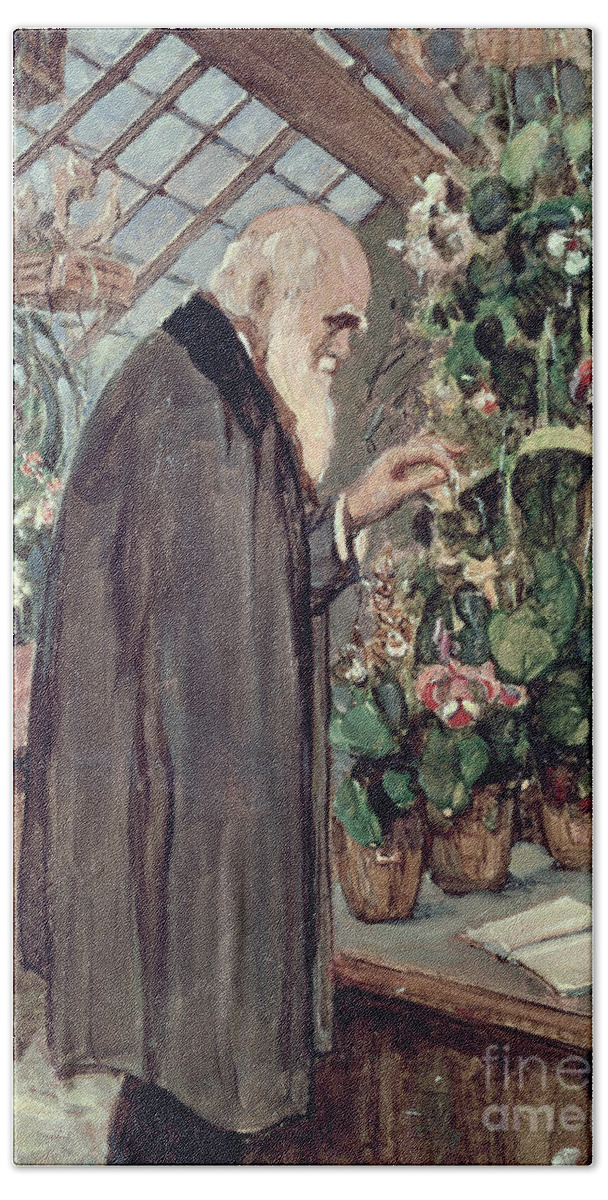 Charles Bath Towel featuring the painting Charles Robert Darwin by John Collier