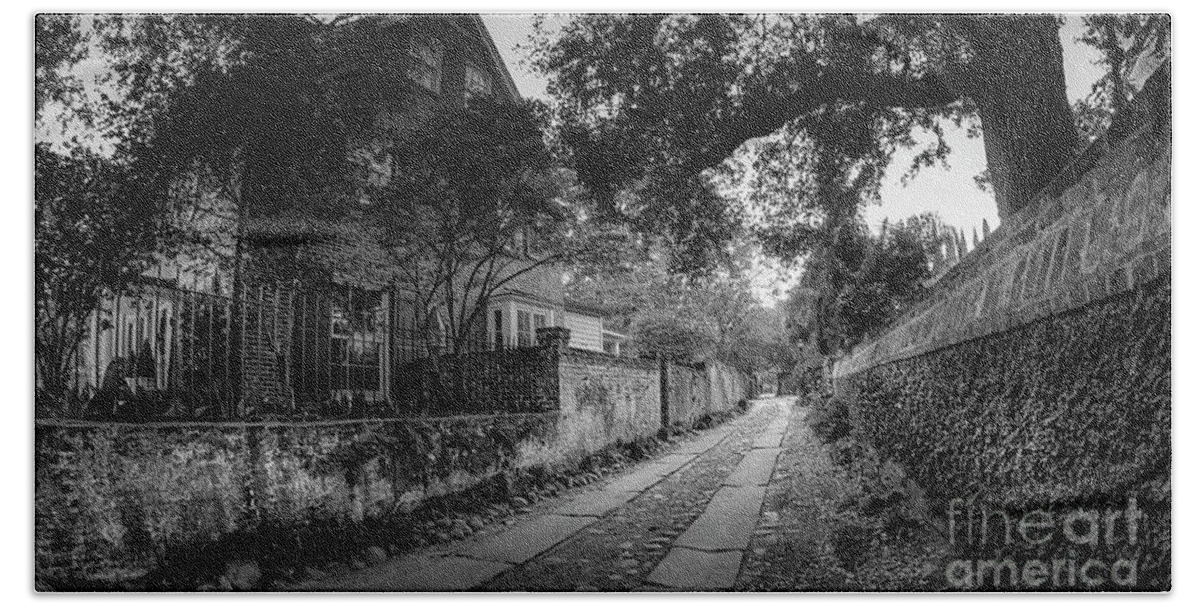 Black And White Bath Towel featuring the photograph Charleston Ally Path by David Smith