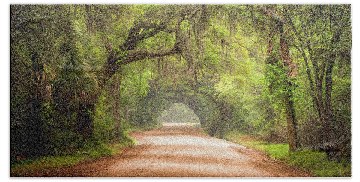 Dirt Road Hand Towel featuring the photograph Charleston SC Edisto Island Dirt Road - The Deep South by Dave Allen