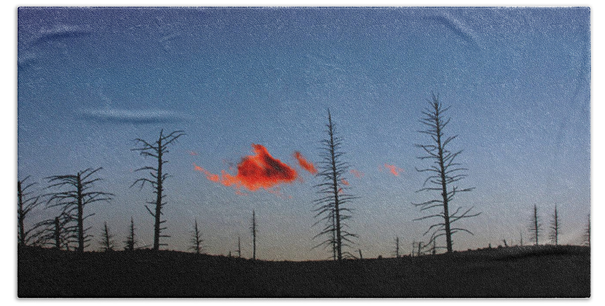 Landscape Bath Towel featuring the photograph Charred Sunset by Brian Gustafson