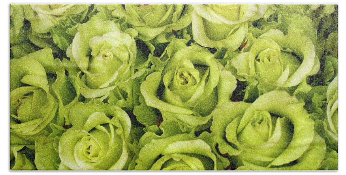Chartreuse - Color Bath Towel featuring the photograph Chartreuse colored roses by Bruce Block