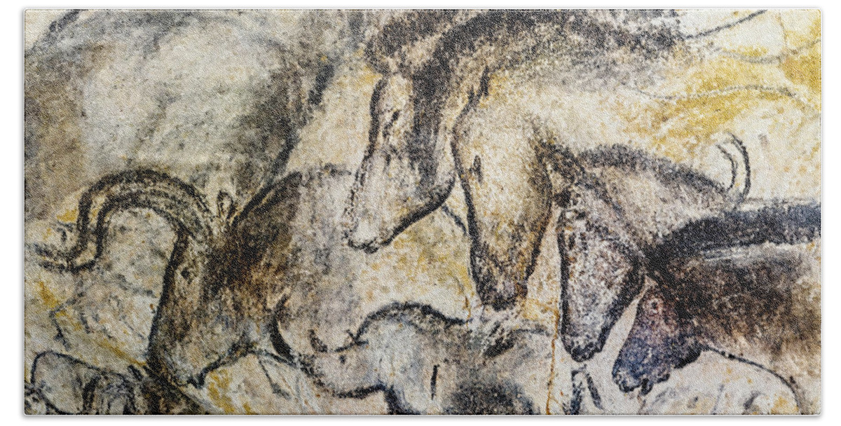 Chauvet Horse Hand Towel featuring the photograph Chauvet Horses Aurochs and Rhinoceros by Weston Westmoreland