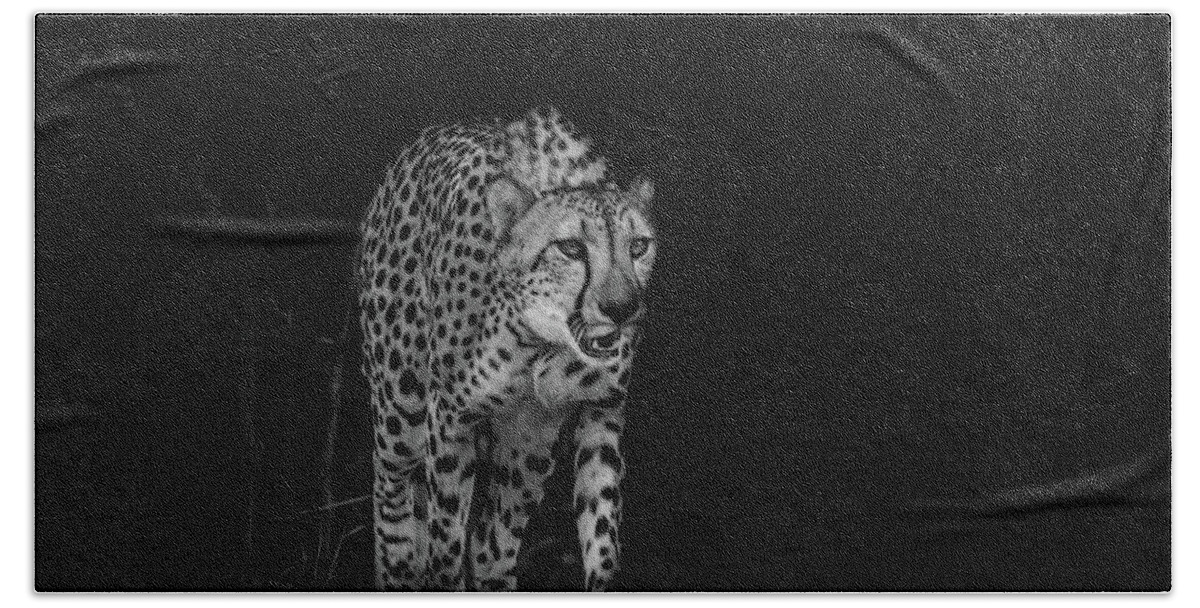Cheetah Bath Towel featuring the photograph Cheetah by Jaime Mercado