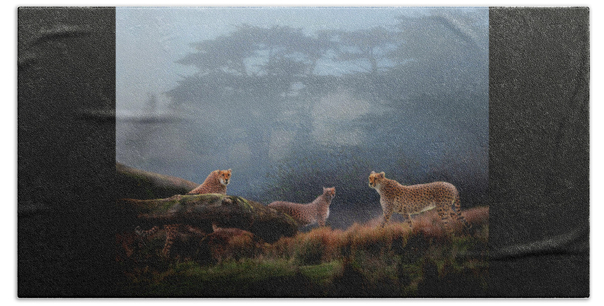 Safari Bath Towel featuring the photograph Cheetahs in the Mist by Melinda Hughes-Berland