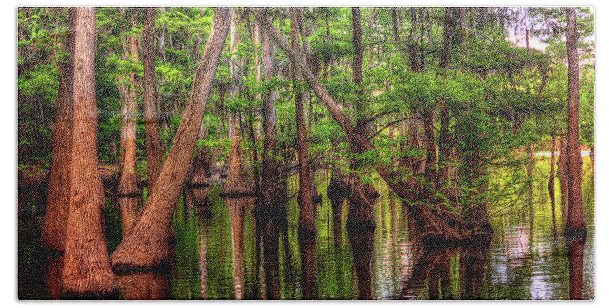 Bayou Hand Towel featuring the photograph Louisiana Cheniere Lake Bayou by Ester McGuire