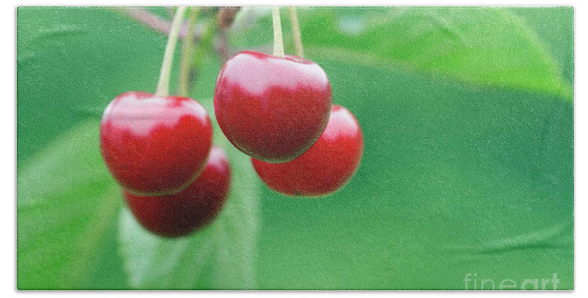 Cherry Bath Towel featuring the photograph Cherries by Michal Boubin