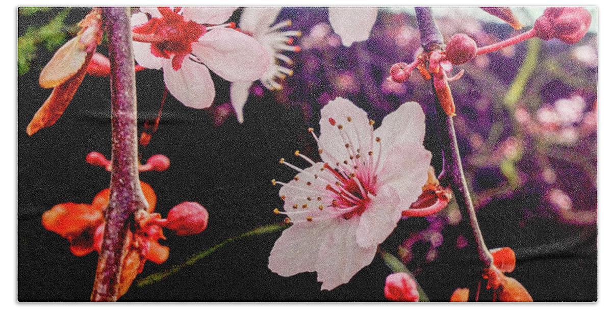 Cherry Blossom Hand Towel featuring the photograph Cherry Blossom by Cesar Vieira