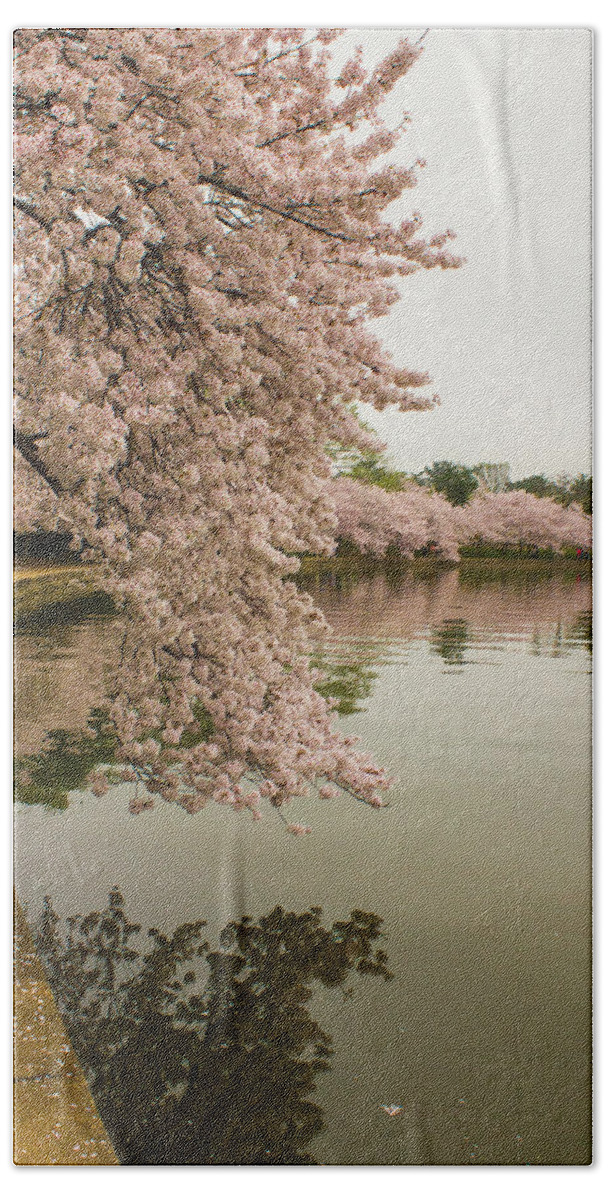 Tidal Basin Hand Towel featuring the photograph Cherry Blossoms Along the Tidal Basin 8x10 by Leah Palmer