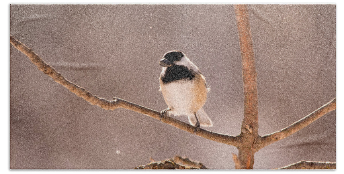 Black Capped Chickadee Bath Towel featuring the photograph Chickadee In the Snow by Linda Kerkau