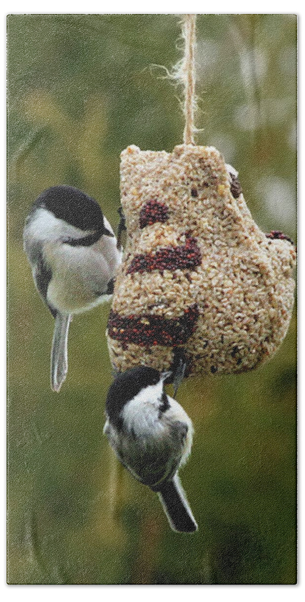 Chickadee Hand Towel featuring the photograph Chickadees by Jackson Pearson