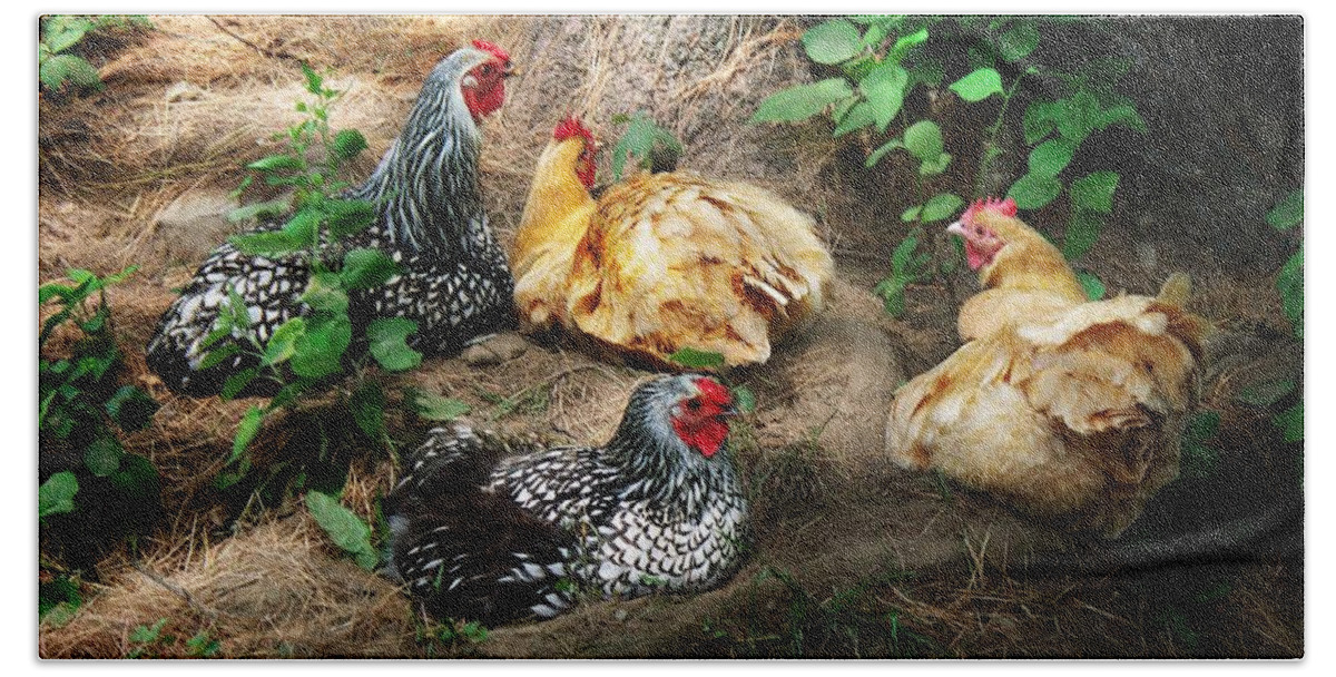 Chicken Dust Bath Party Hand Towel featuring the photograph Chicken Dust Bath party by Joy Nichols