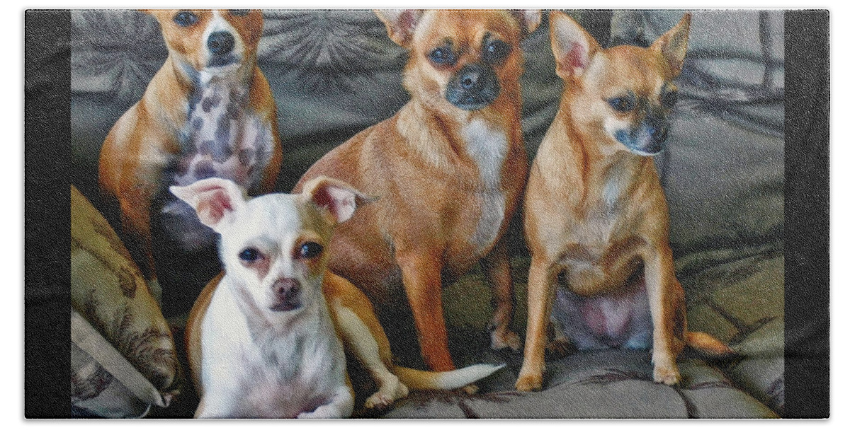 Chihuahuas Bath Towel featuring the photograph Chihuahuas Hanging Out by Ginger Wakem