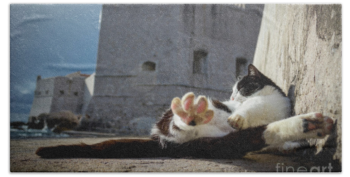 Cat Bath Towel featuring the photograph Chill Kitty of Dubrovnik by Becqi Sherman