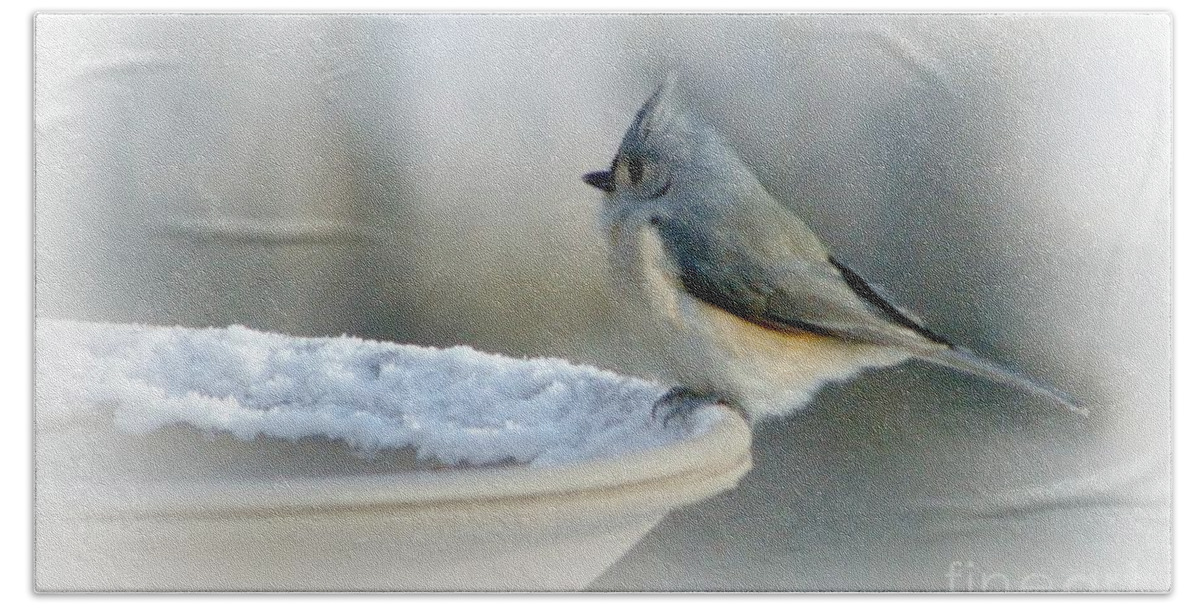 Winter Bath Towel featuring the photograph Chilly Start by Barbara S Nickerson