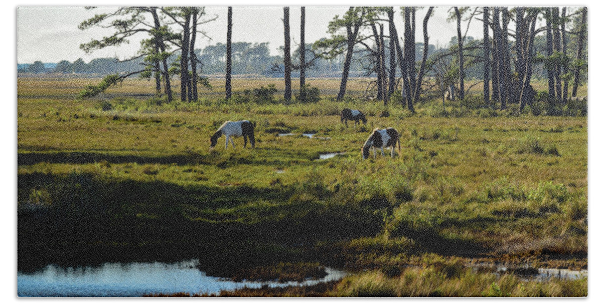 Chincoteague Hand Towel featuring the photograph Chincoteague Ponies by Nicole Lloyd