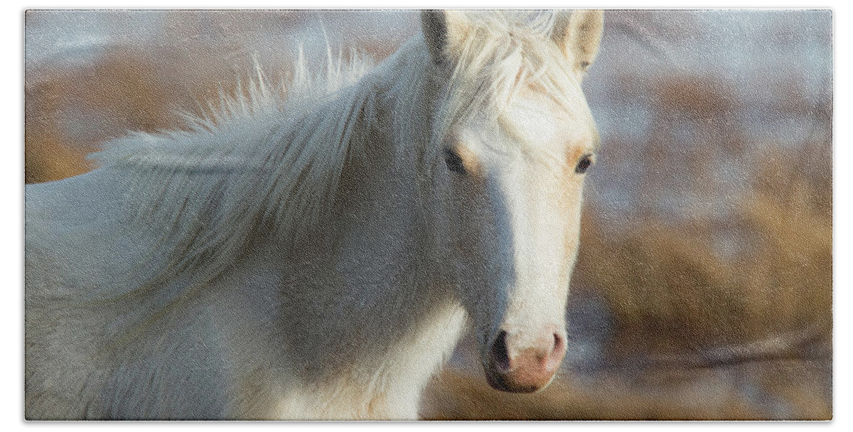 Wild Bath Towel featuring the photograph Chincoteague White Pony by Pete Federico